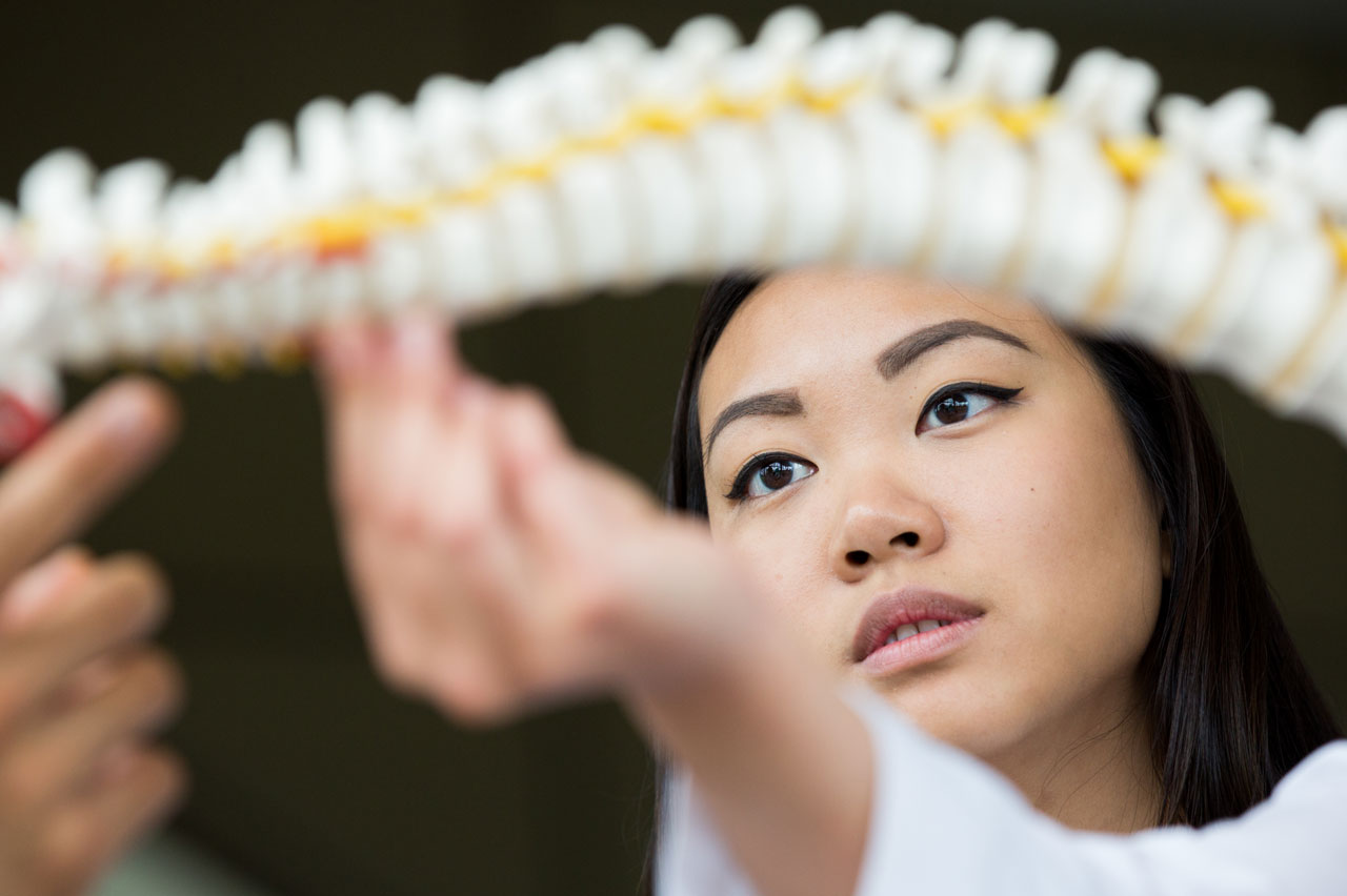 Student examining spine model